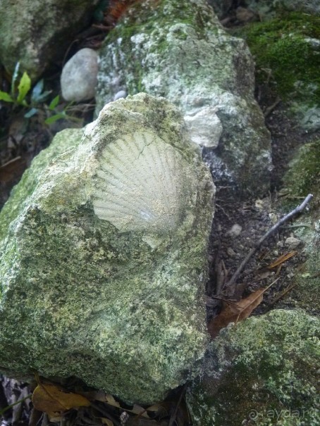 Часть 3. А впереди еще Италия и др. 