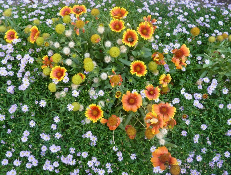 Часть 3. А впереди еще Италия и др. 