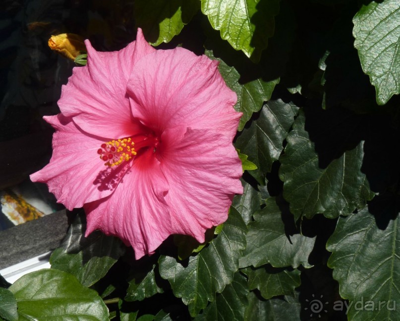 Часть 3. А впереди еще Италия и др. 