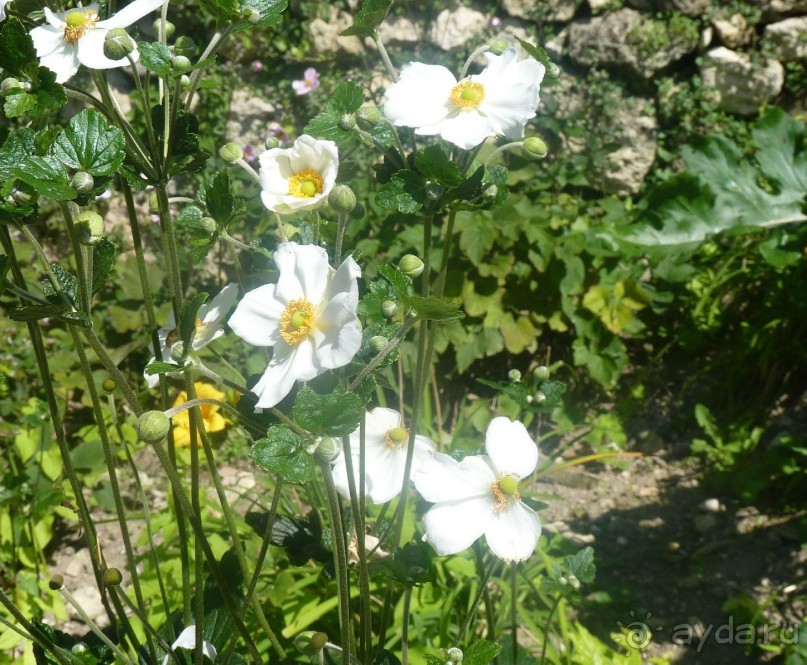 Часть 3. А впереди еще Италия и др. 