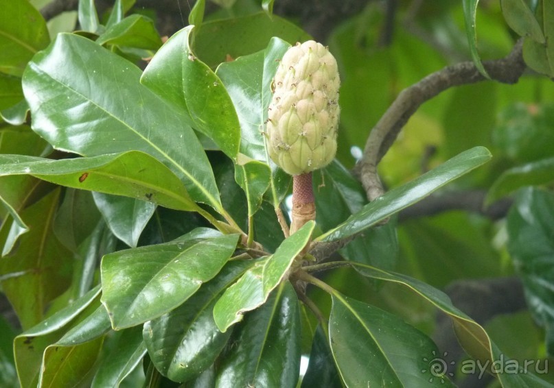 Часть 3. А впереди еще Италия и др. 