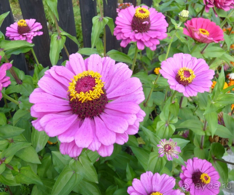 Часть 3. А впереди еще Италия и др. 