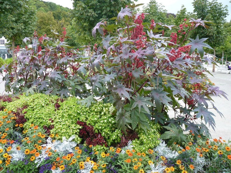 Часть 3. А впереди еще Италия и др. 