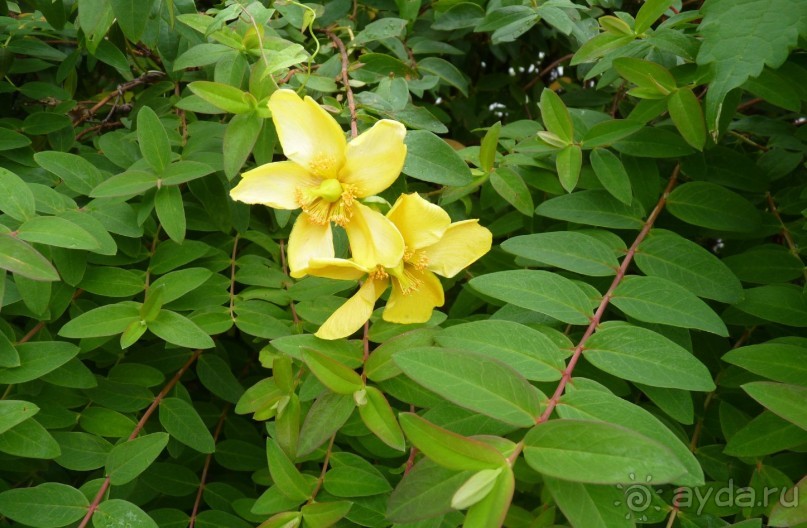 Часть 3. А впереди еще Италия и др. 