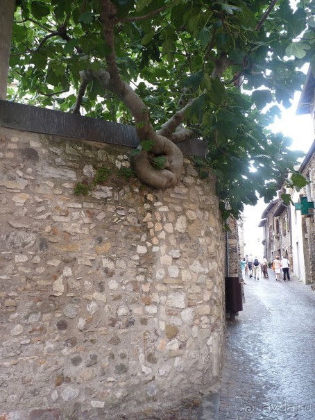 Часть 3. А впереди еще Италия и др. 