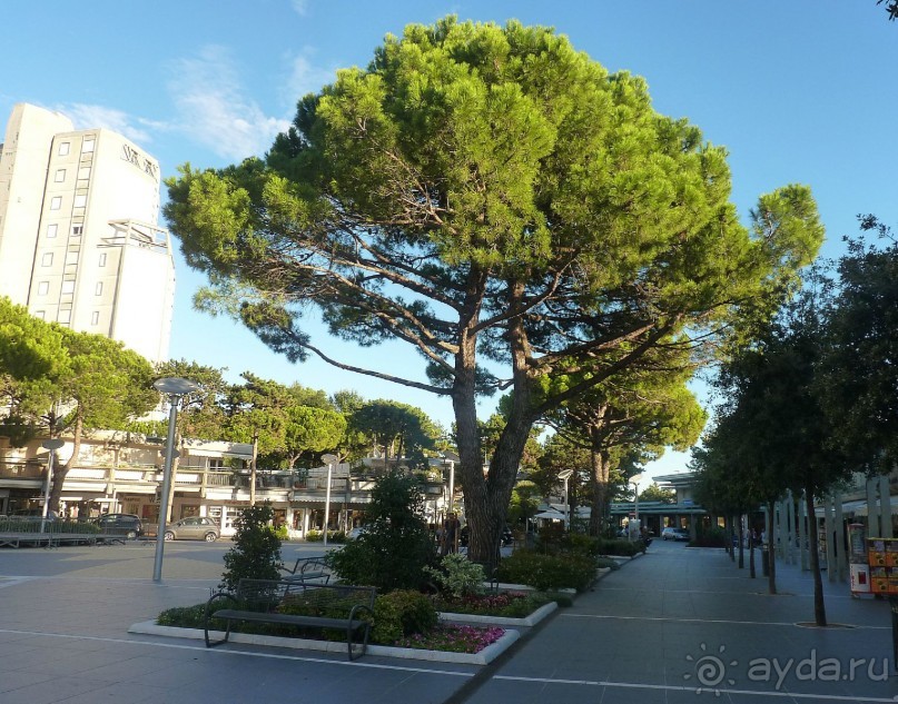 Часть 3. А впереди еще Италия и др. 