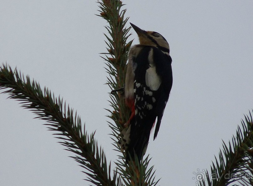 Часть 3. А впереди еще Италия и др. 