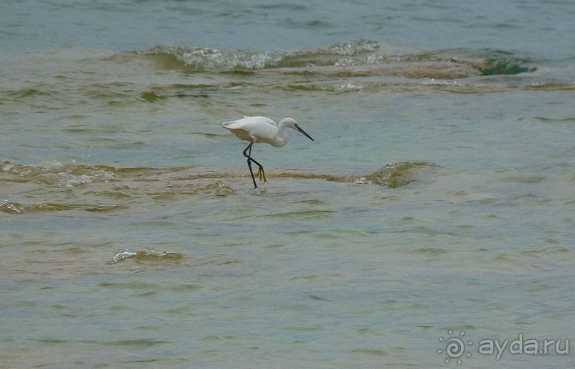 Часть 3. А впереди еще Италия и др. 