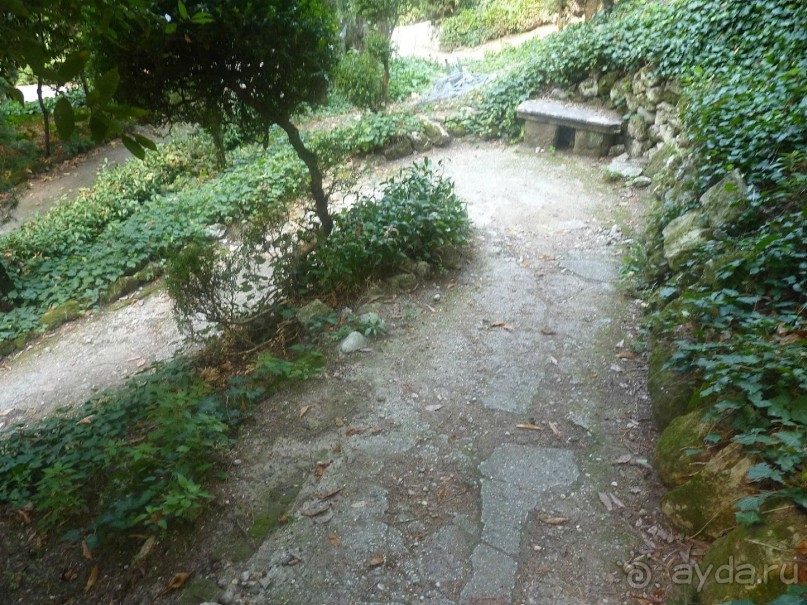 Часть 3. А впереди еще Италия и др. 