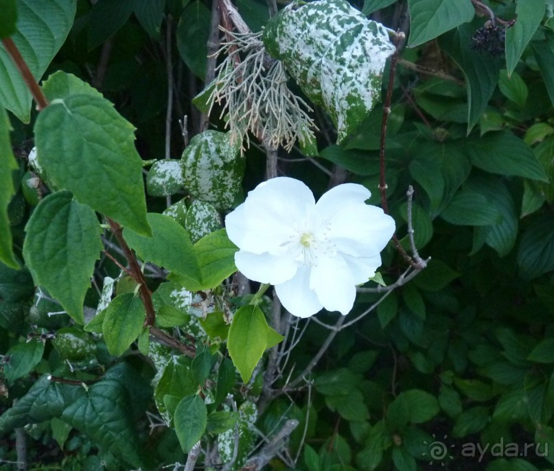 Часть 3. А впереди еще Италия и др. 