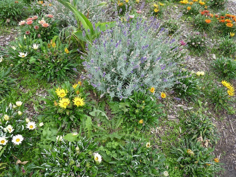 Часть 3. А впереди еще Италия и др. 