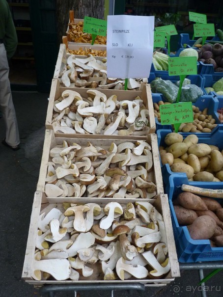 Часть 3. А впереди еще Италия и др. 