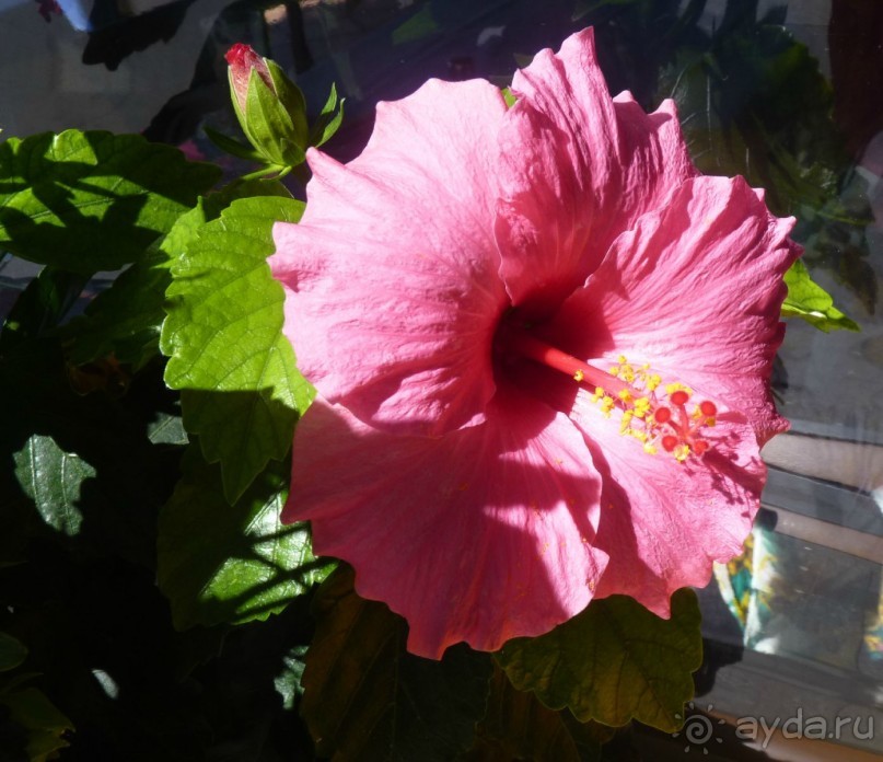 Часть 3. А впереди еще Италия и др. 