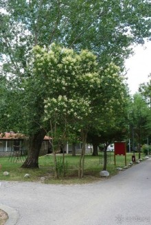 Еще одно путешествие с посещением Чехии, Австрии, Словении и  отдыхом в Хорватии. Часть 5. Хорватия