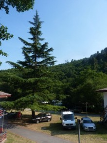 фото Рабаца