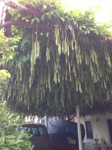 Еще одно путешествие с посещением Чехии, Австрии, Словении и  отдыхом в Хорватии. Часть 5. Хорватия