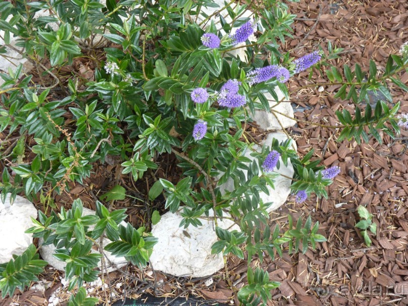 Еще одно путешествие с посещением Чехии, Австрии, Словении и  отдыхом в Хорватии. Часть 5. Хорватия