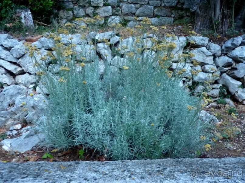 Еще одно путешествие с посещением Чехии, Австрии, Словении и  отдыхом в Хорватии. Часть 5. Хорватия