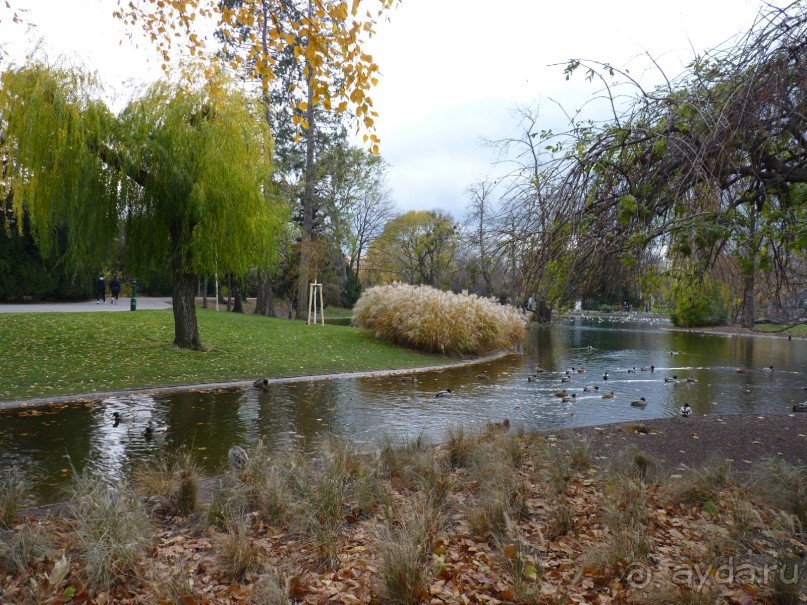 Перед Рождеством на поезде из Москвы...а напоследок Вена Часть 8.