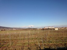 Перед Рождеством на поезде из Москвы...а напоследок Вена Часть 8.