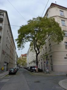 Перед Рождеством на поезде из Москвы...а напоследок Вена Часть 8.