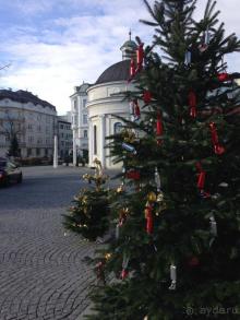 Перед Рождеством на поезде из Москвы...а напоследок Вена Часть 8.
