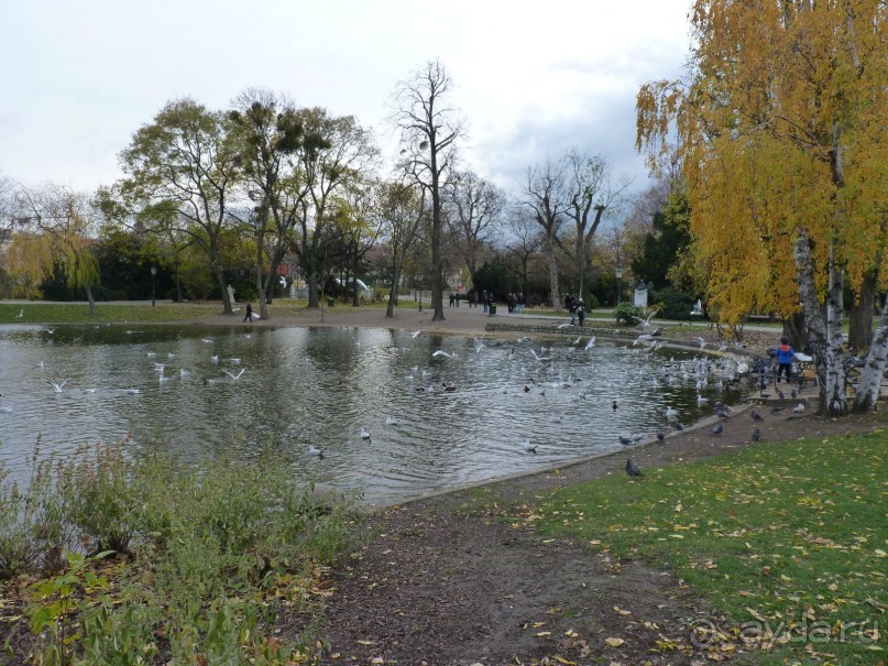 Перед Рождеством на поезде из Москвы...а напоследок Вена Часть 8.