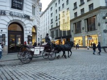 Перед Рождеством на поезде из Москвы...а напоследок Вена Часть 8.