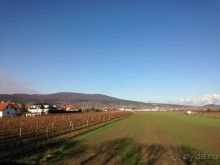 Перед Рождеством на поезде из Москвы...а напоследок Вена Часть 8.