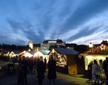 Перед Рождеством на поезде из Москвы...а напоследок Вена Часть 8.