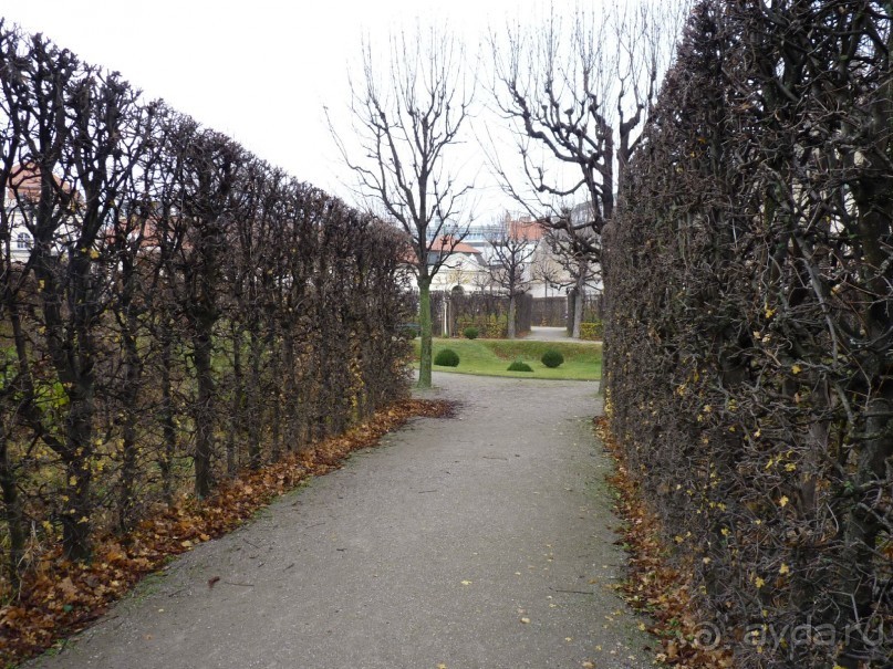 Перед Рождеством на поезде из Москвы...а напоследок Вена Часть 8.