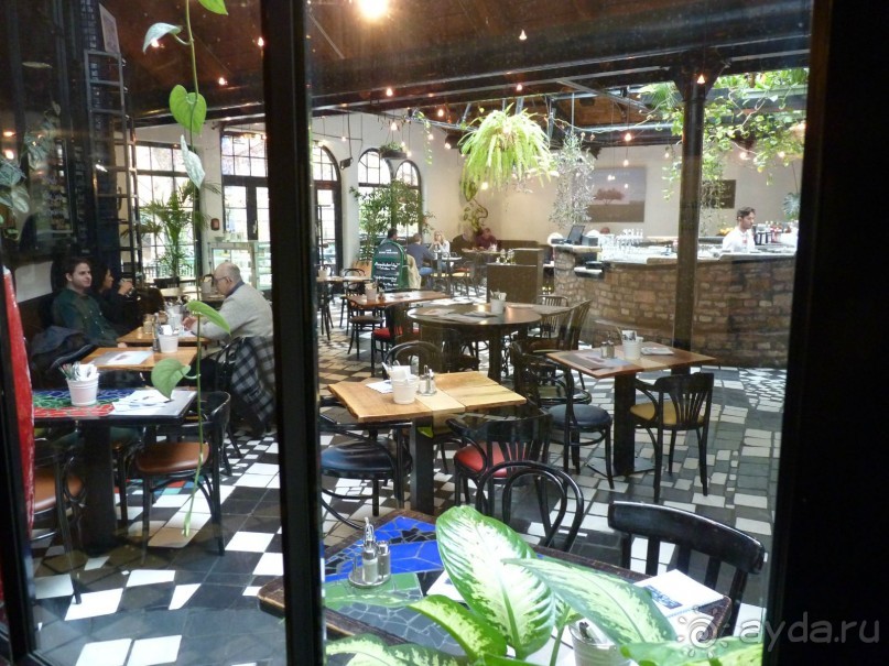 Перед Рождеством на поезде из Москвы...а напоследок Вена Часть 8.