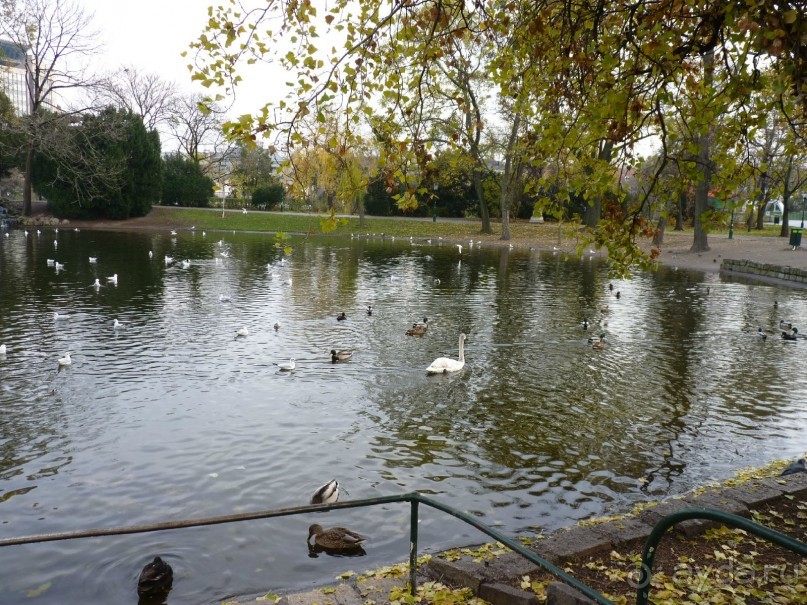 Перед Рождеством на поезде из Москвы...а напоследок Вена Часть 8.