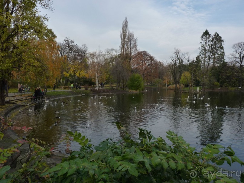 Перед Рождеством на поезде из Москвы...а напоследок Вена Часть 8.