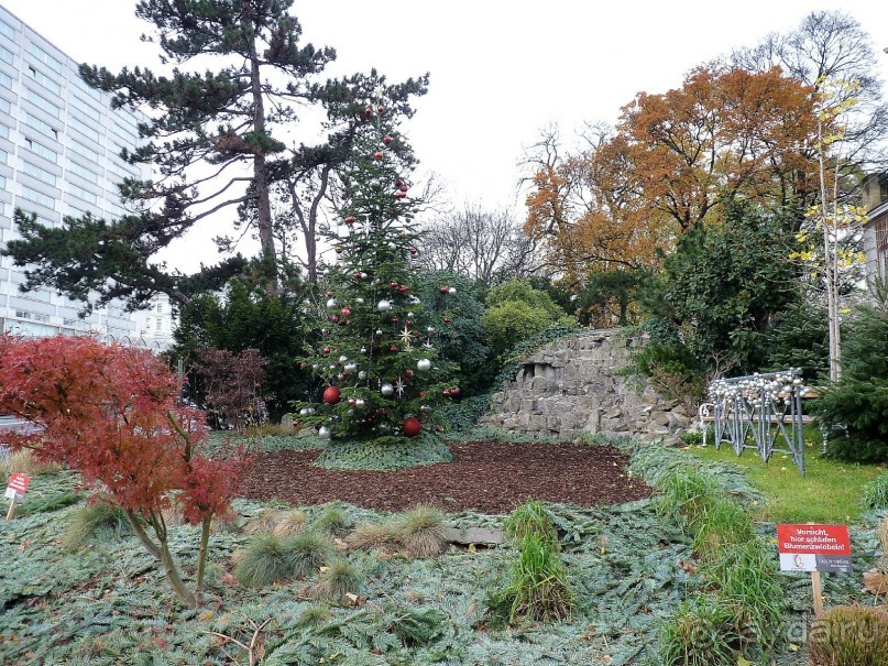 Перед Рождеством на поезде из Москвы...а напоследок Вена Часть 8.