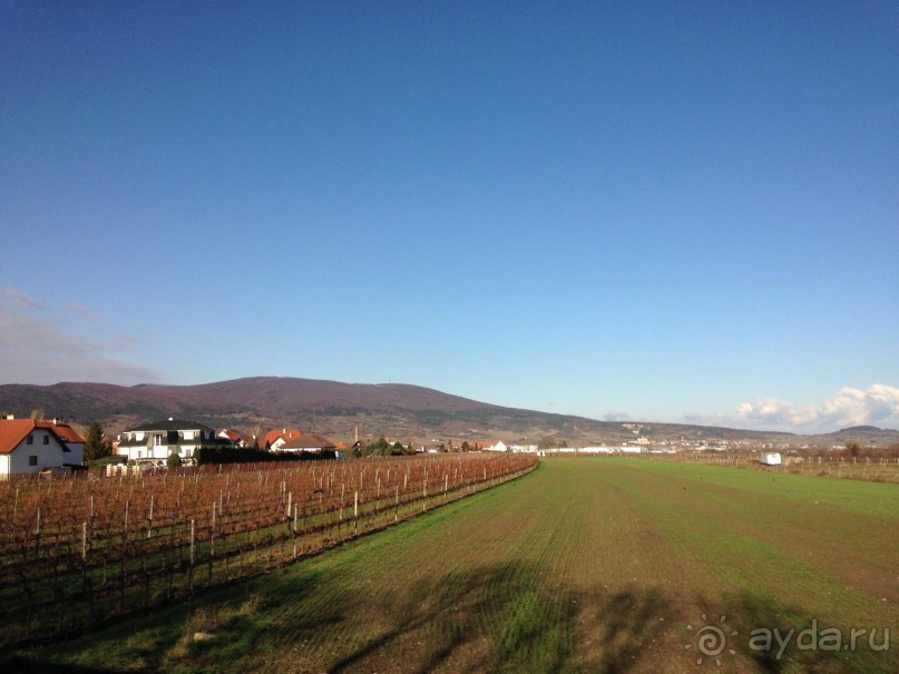 Перед Рождеством на поезде из Москвы...а напоследок Вена Часть 8.
