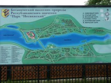 Беларусь. Замки Радзивиллов. 