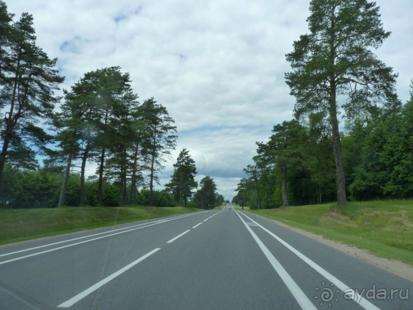 Беларусь. Замки Радзивиллов. 