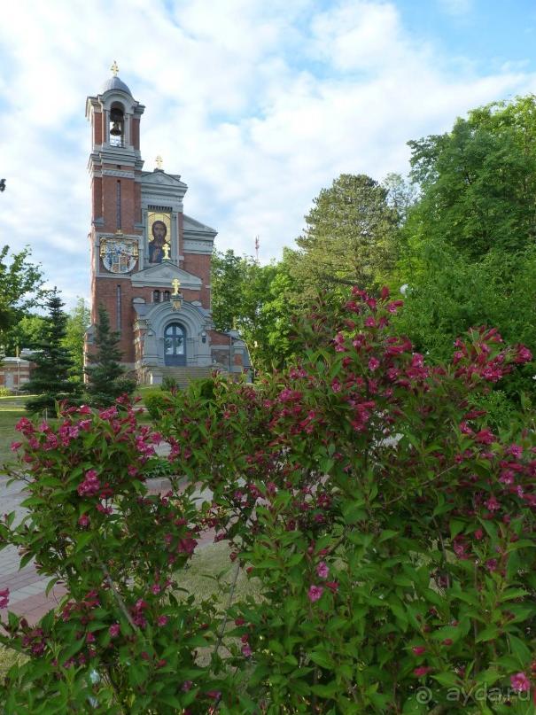 Беларусь. Замки Радзивиллов. 
