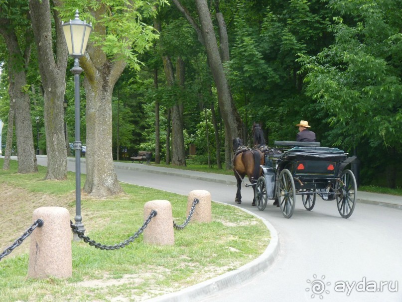 Беларусь. Замки Радзивиллов. 