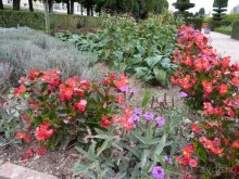 По садам и замкам большой компанией или какими могут быть парки