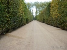 По садам и замкам большой компанией или какими могут быть парки