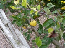 По садам и замкам большой компанией или какими могут быть парки