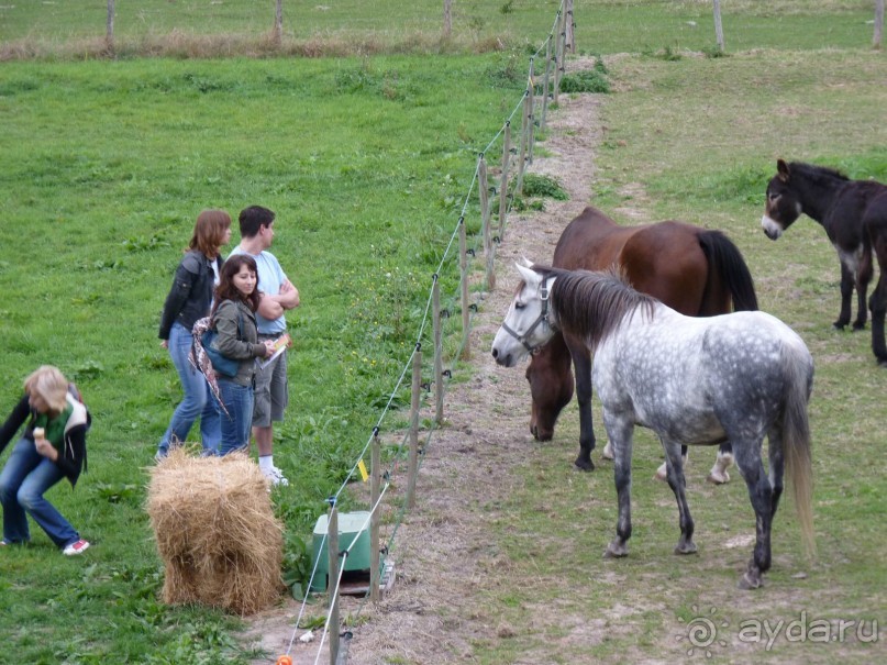 По садам и замкам большой компанией или какими могут быть парки