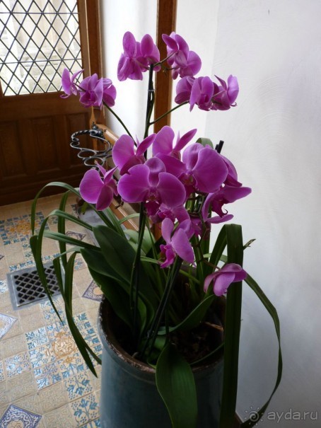 По садам и замкам большой компанией или какими могут быть парки