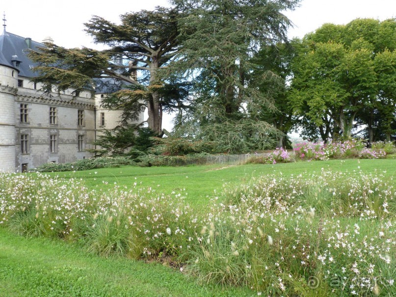 По садам и замкам большой компанией или какими могут быть парки