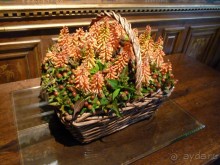 По садам и замкам большой компанией или какими могут быть парки