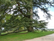 По садам и замкам большой компанией или какими могут быть парки