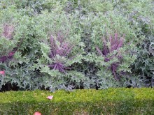 По садам и замкам большой компанией или какими могут быть парки