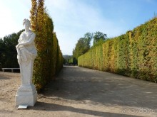 По садам и замкам большой компанией или какими могут быть парки